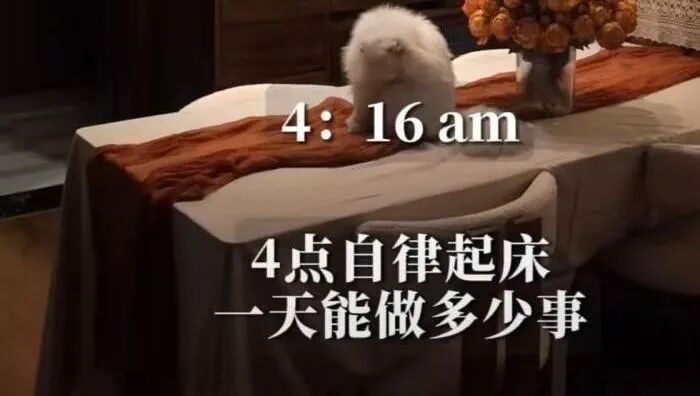 你以为的“精致”是演的、“自律”是假的！骗咱们，图啥？