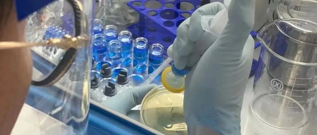 “ 我不是药神，但不能等孩子死去 ”！高中学历父亲冒险自己制药引争议