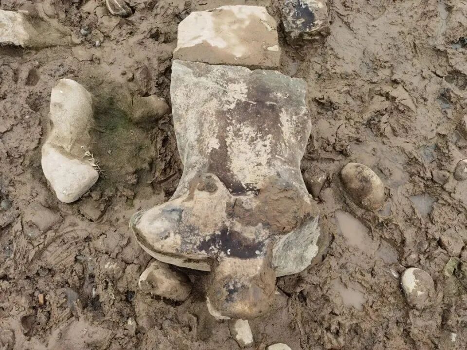 男子钓鱼“钓”到佛头，龙门石窟研究院：初步鉴定，唐代的！