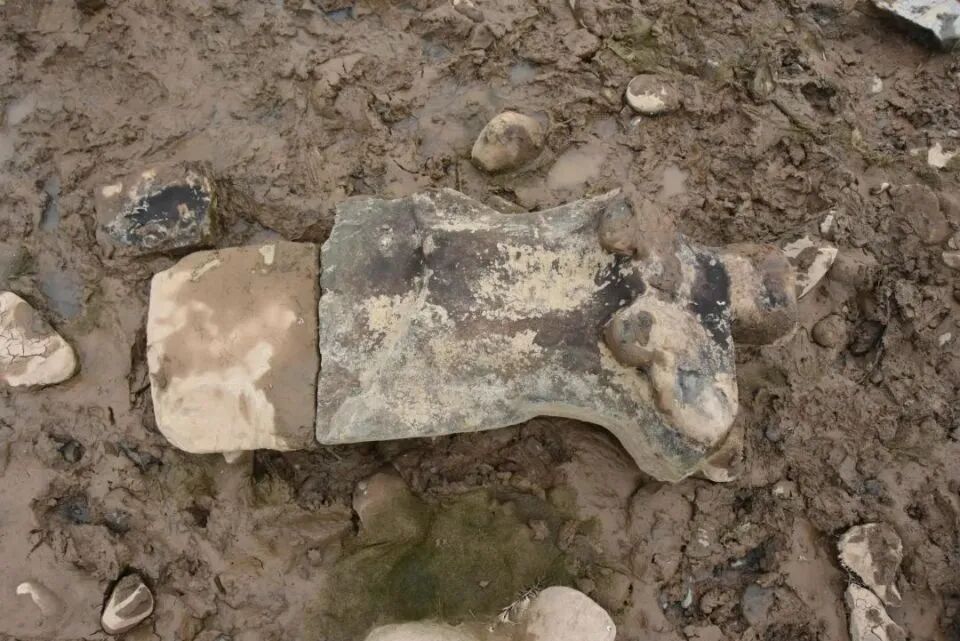 男子钓鱼“钓”到佛头，龙门石窟研究院：初步鉴定，唐代的！