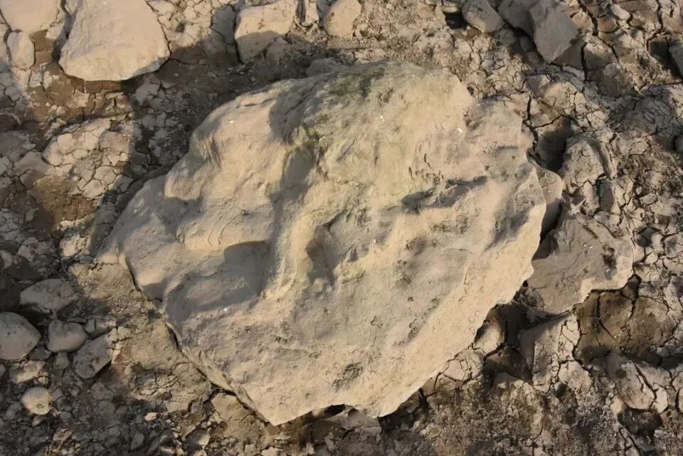 男子钓鱼“钓”到佛头，龙门石窟研究院：初步鉴定，唐代的！