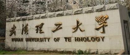 不予通过！武汉理工大学深夜通报