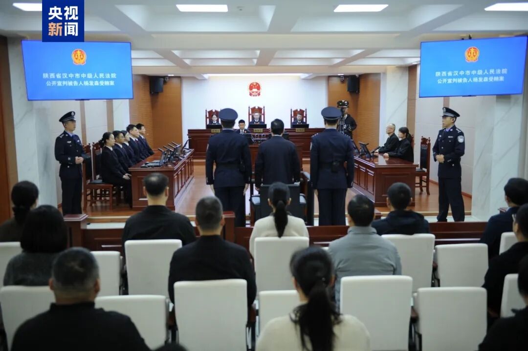 受贿1.47亿余元，青海省委原常委、政法委原书记杨发森一审被判无期徒刑(图3)