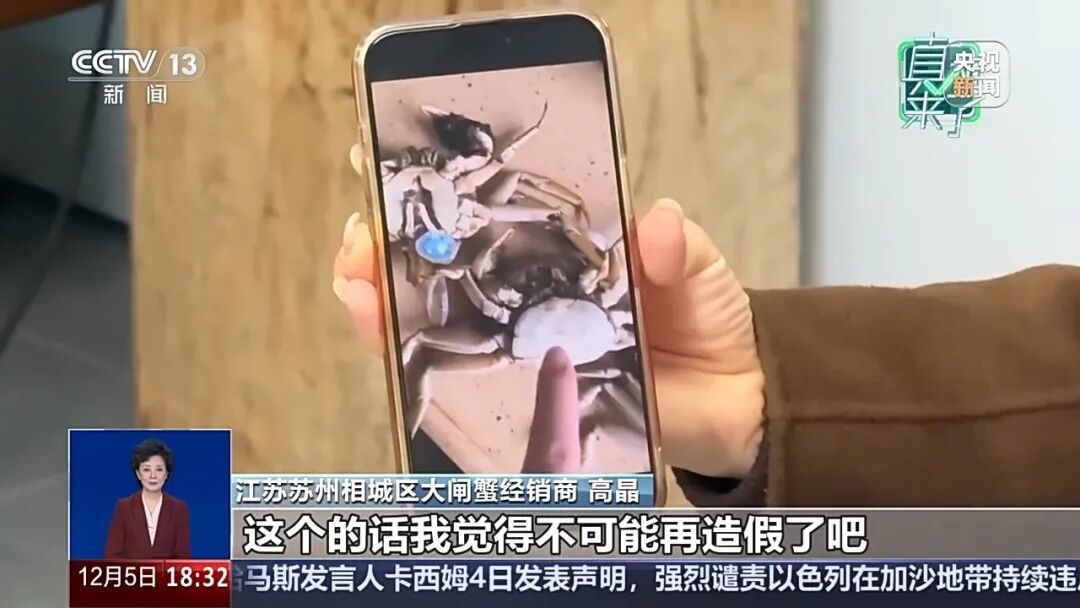 买家AI合成6只“死螃蟹”视频骗商家退款，警方：拘留8天，追缴违法所得195元(图3)