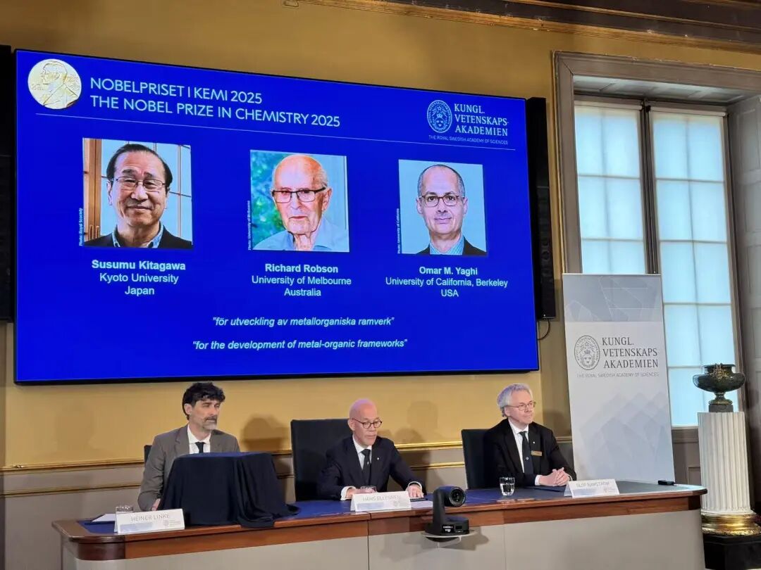 2025诺贝尔化学奖公布,2025年诺贝尔化学奖揭晓