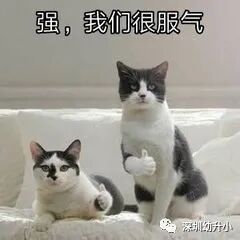 占地14192㎡！深圳最古老的公办小学拆除重建了，兴趣班超丰富，入学门槛低！相关资料