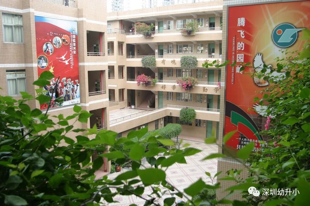 公办学校的翘楚！深圳这所全国排名11的老牌名校，学习压力还小！升学去向亮眼！相关资料 4