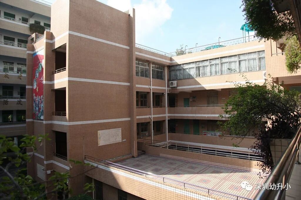 公办学校的翘楚！深圳这所全国排名11的老牌名校，学习压力还小！升学去向亮眼！相关资料 5