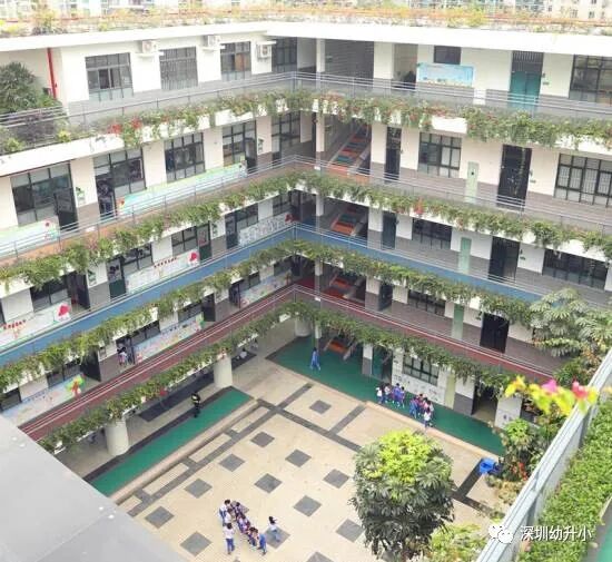 生源超好还可直升名校！深圳南山区数一数二的公办小学，深户需提前一年买房！相关资料 16