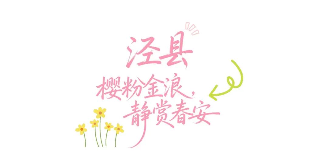 蓝绿色现代简约旅行生活小红书Plog (5).png