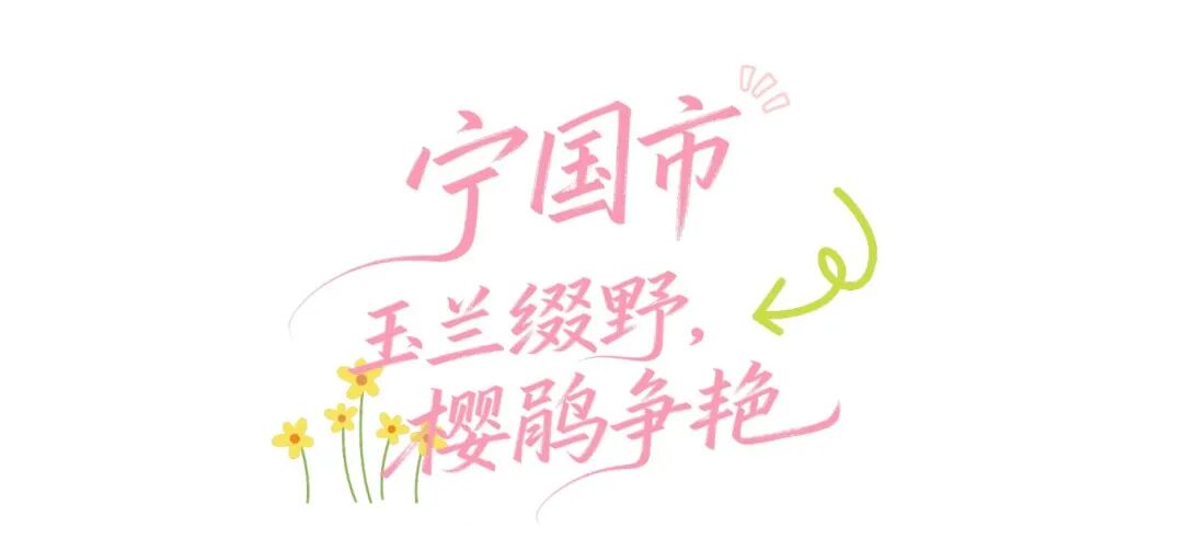 蓝绿色现代简约旅行生活小红书Plog (4).png