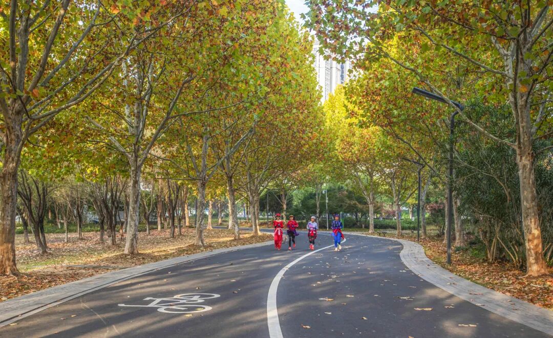 晨练宛陵湖+宣城市宣州区+欧斌+13966215187.jpg