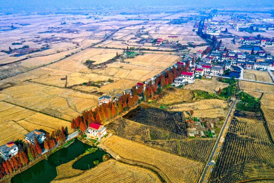 农民丰收节南昌县幽兰镇产业兴旺庆丰收