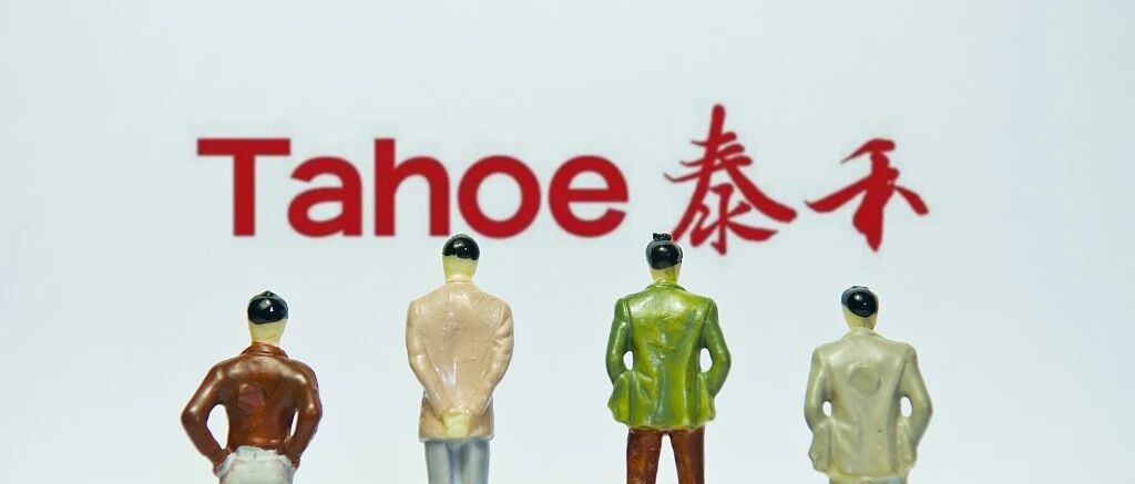 泰禾路在何方：一个“无解”之问 | 棱镜