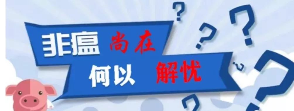 非瘟抬头，如果有疫情或有疑似疫情？应该怎么处理？