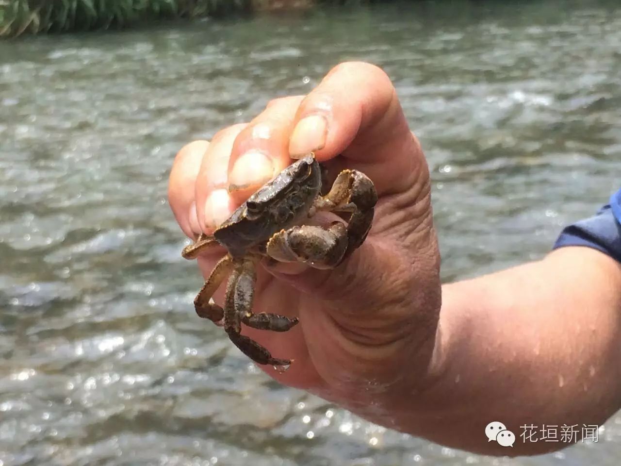 走,去苗乡小溪,小河翻螃蟹!