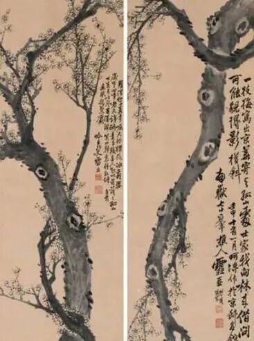 梅花几月份开花？关于梅花的绝美诗词文案一览