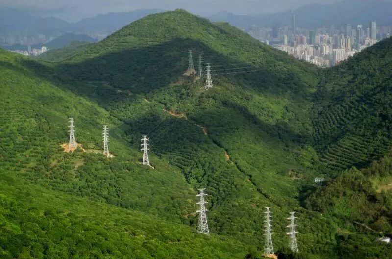 周六公益夜徒 夜登塘朗山 仰望山高谷深 林茂水长的风景 深圳背包客 微信公众号文章阅读 Wemp