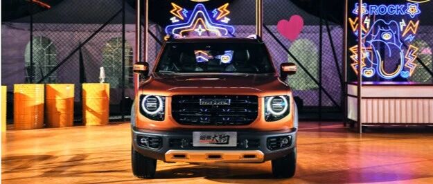 哈弗大狗再次来袭，这次是“中华田园版”