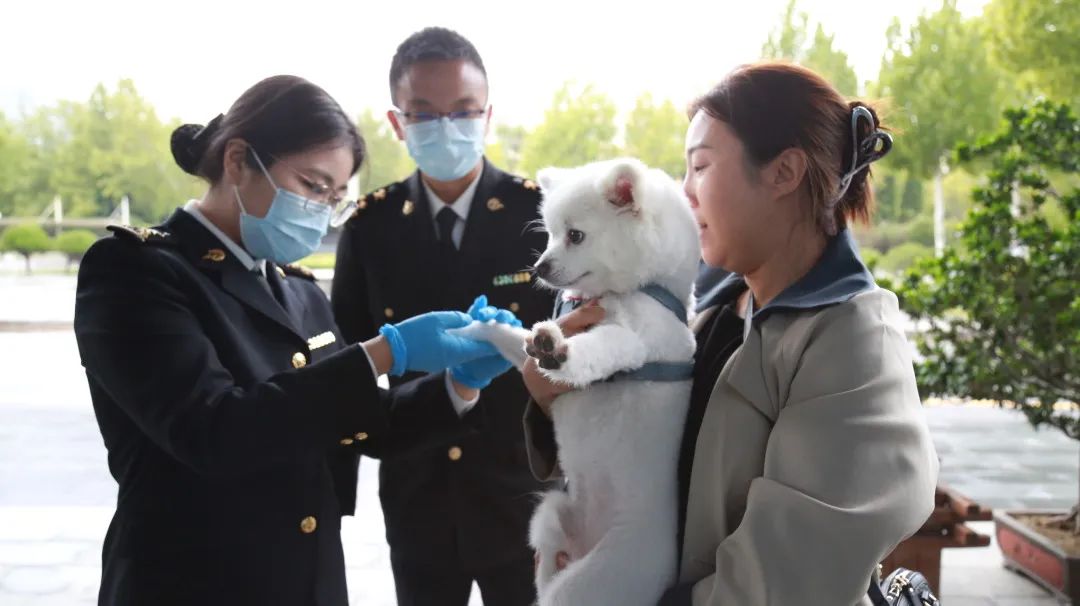 【海关微课堂】萌宠进出境知多少