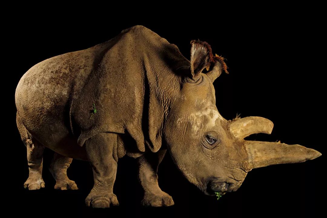 2022�����ҵ���������������365��ÿ��һ�ž��ʴ�Ƭ