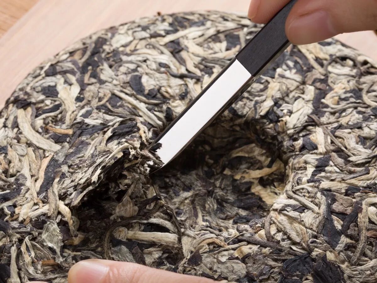 如何轻松,优雅地打开普洱茶饼?|广西优质茶叶交流组