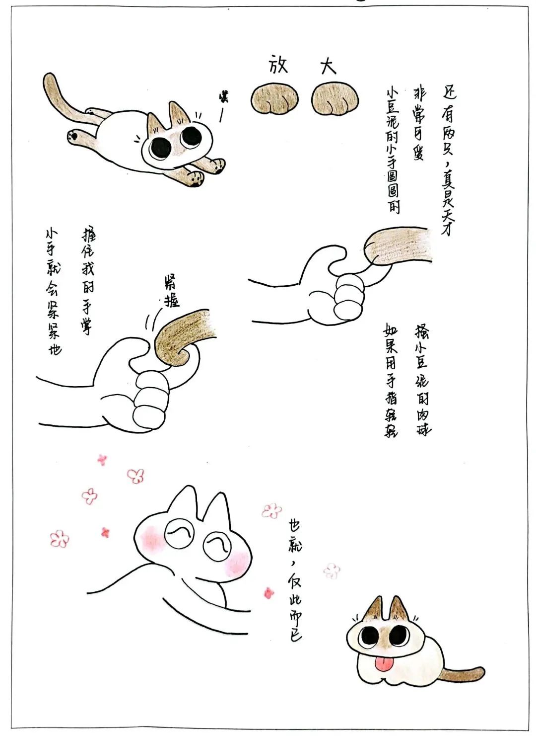 25_看图王.jpg 图片