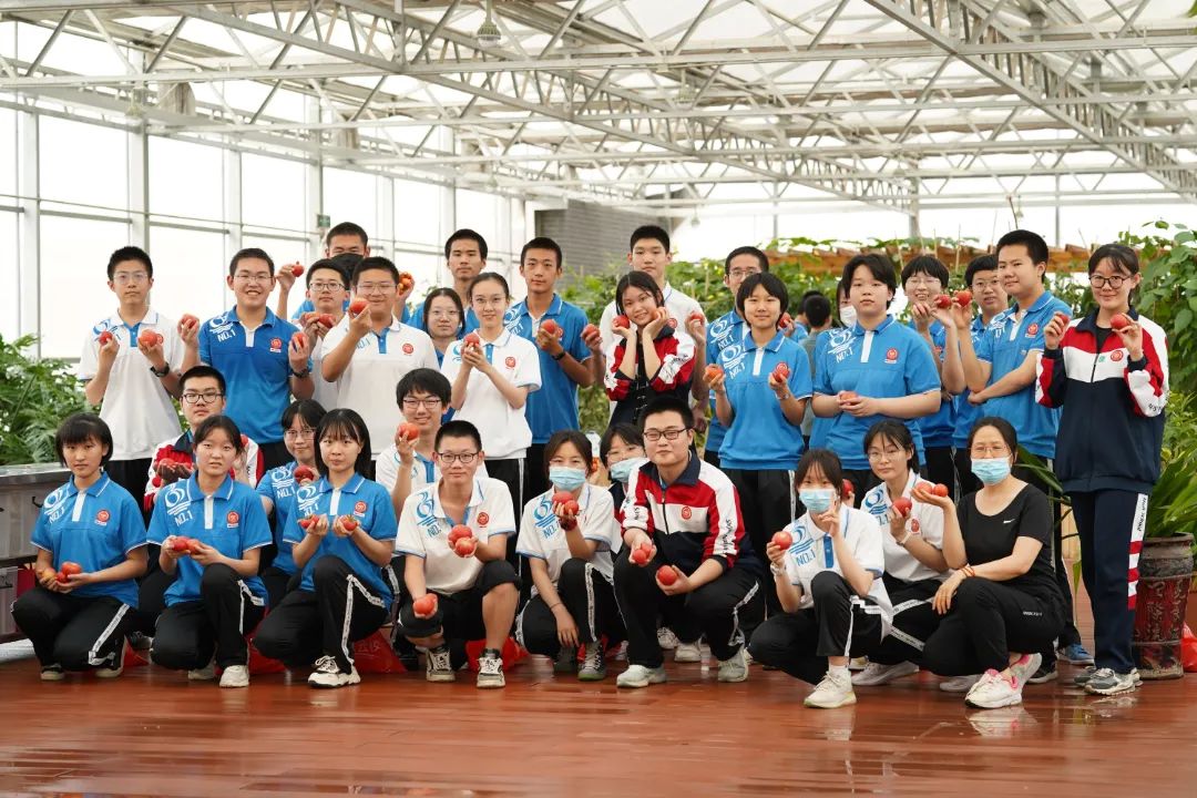 3.jpg 图片