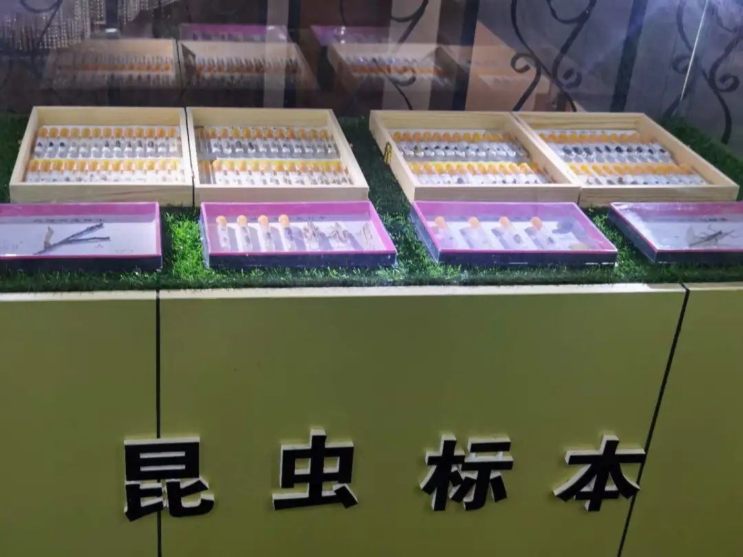 微信图片_20200626105607.jpg