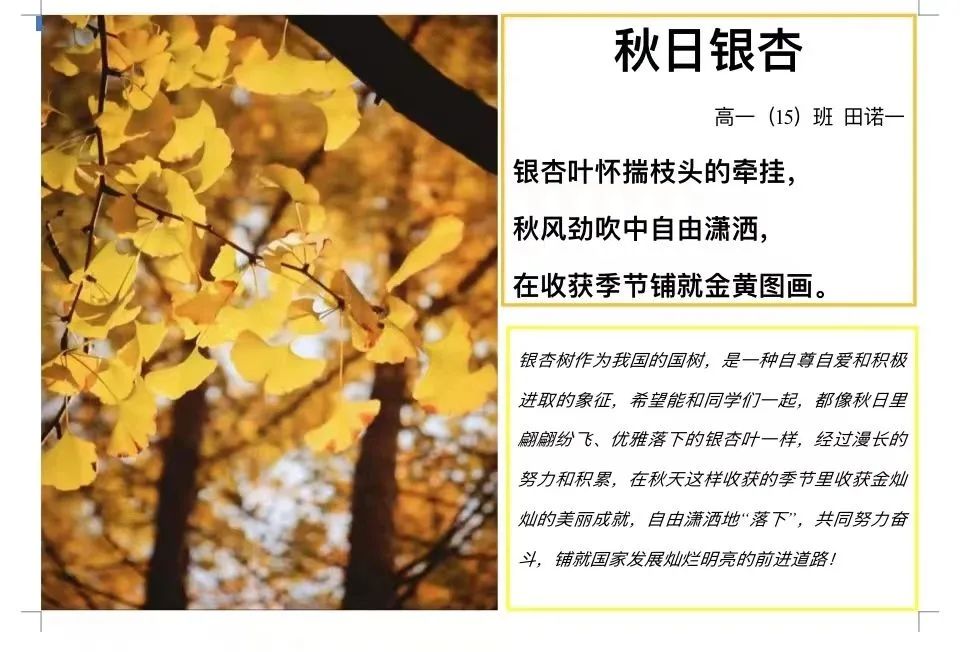 知秋节 (1).jpg 图片