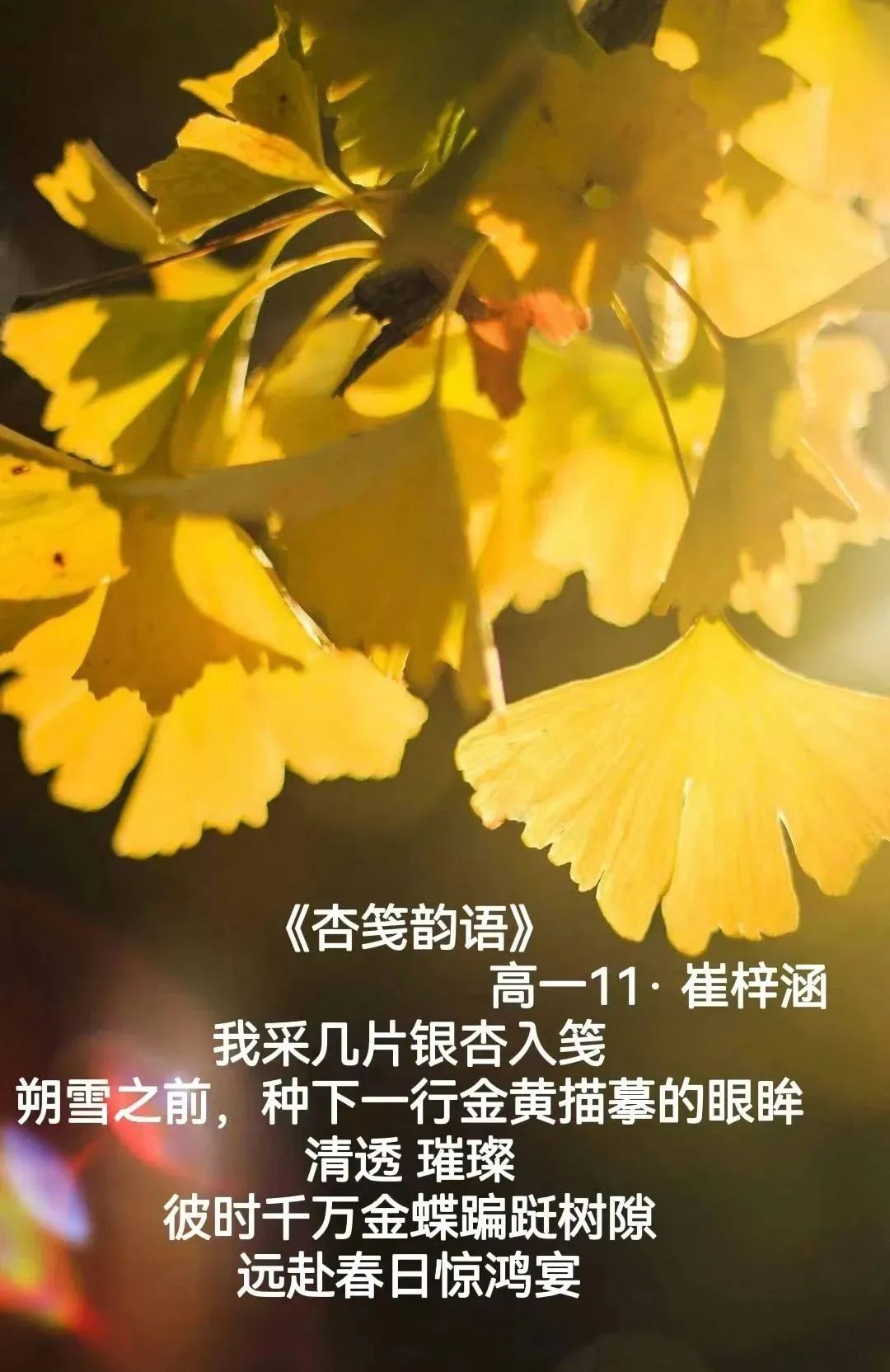 知秋节 (2).jpg 图片