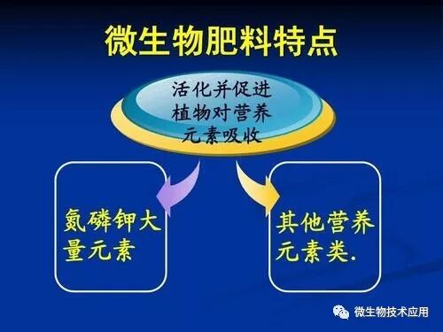 微生物肥料的应用及分类 微生物肥料的应用及分类 种植行业资料 Em菌种 Em原液 Em菌液 Em菌 光合细菌 光合菌 枯草芽孢杆菌 地衣芽孢杆菌