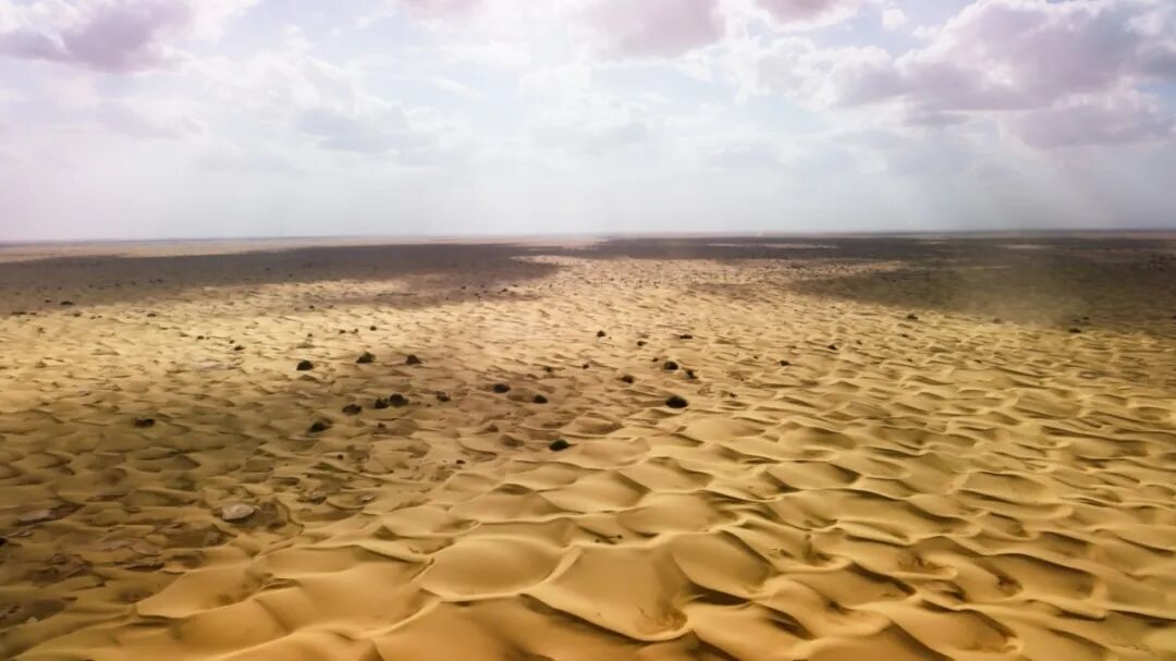 Still 2025-08-15 170638_1.1.2(1).jpg