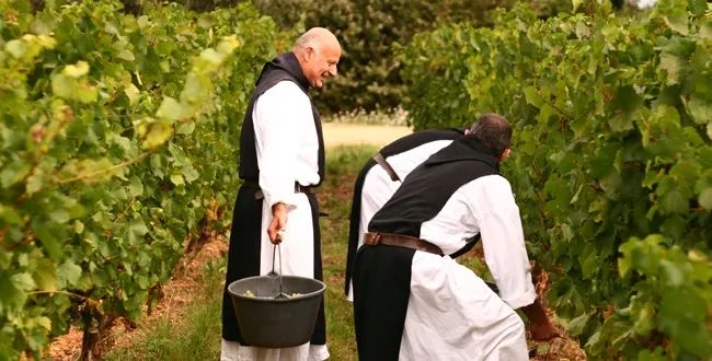 20213-650x330-autre-abbaye-de-lerins-vin-de-pays-portes-de-mediterranee.jpg