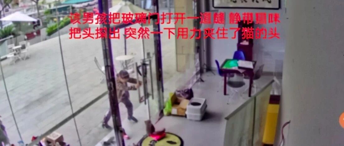 男孩用刀戳猫眼用门夹头，事后家长拒绝道歉，还辩解他只是个孩子