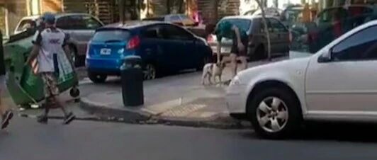 情侣送狗回家，公寓门上却贴着禁止狗入内的纸条，果断收养带回家