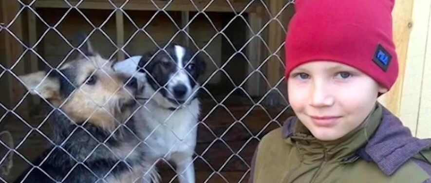 9岁小男孩凭借给狗画像，独自建立救助站，养活了上百只流浪狗！