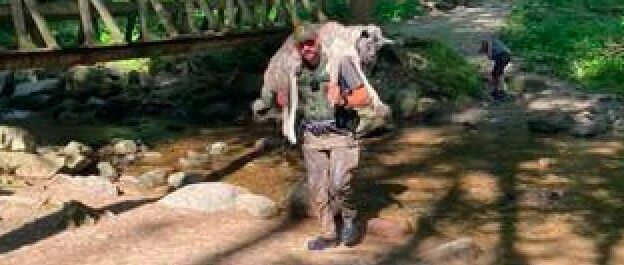 德牧爬山时中暑，巡山员扛45公斤的它徒步一小时下山，人性的伟大