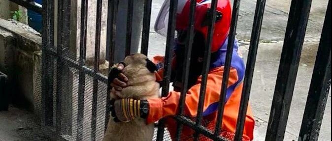 女孩疯狂网上购物，只为让快递员来撸狗，而他的一句话让人破防了