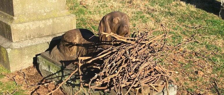 公墓里的一只狗狗雕塑成热门景点，为陪伴主人，长眠于此100年