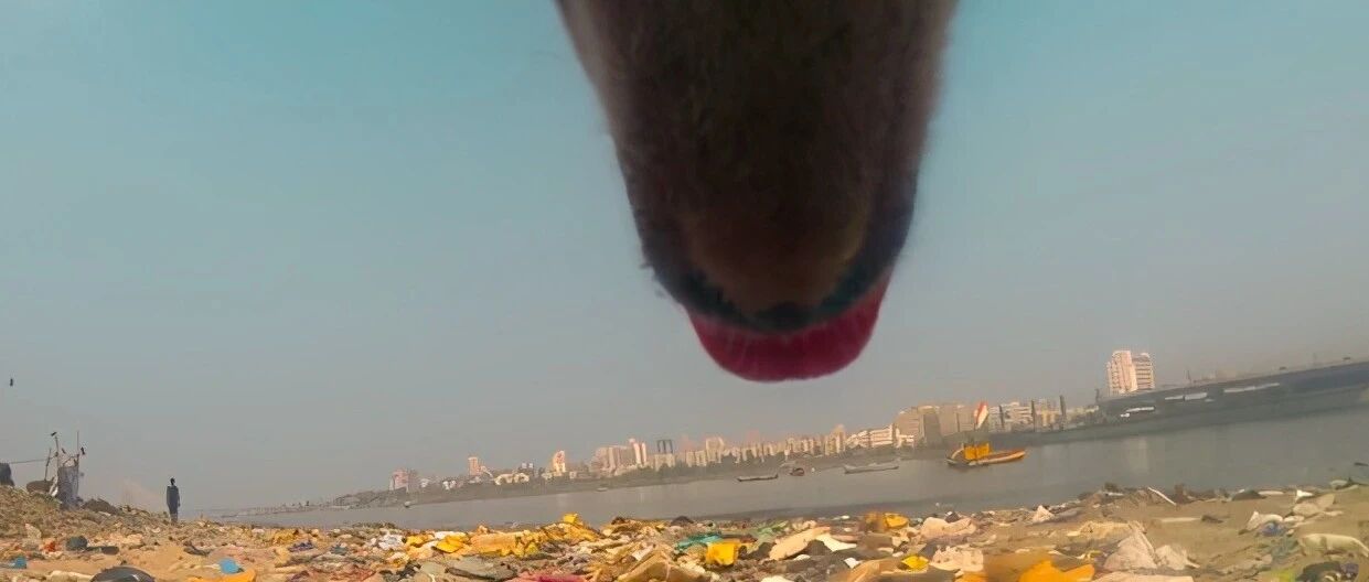 流浪狗真实的一天，为了活下去它拼尽了全力，看到最后我哭了！