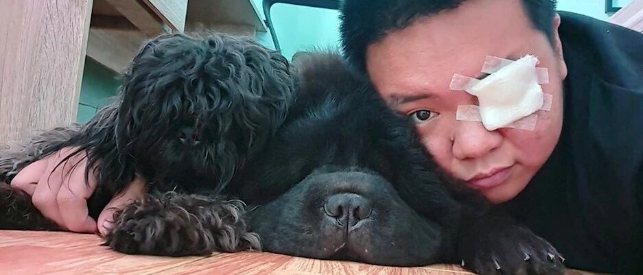 主人被松狮犬误伤，眼角膜掉了一层差点失明，然而却丝毫没责怪它