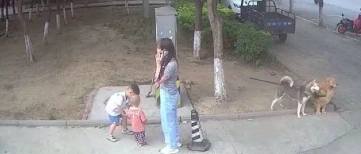 女子不让小孩靠近狗，担心有危险，孩子爷爷却直接开车将她撞倒！