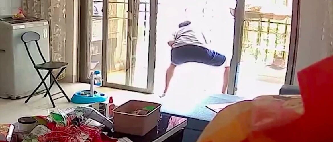 好心收留别人借住家中，对方竟殴打狗致重伤，准研究生如此做人？