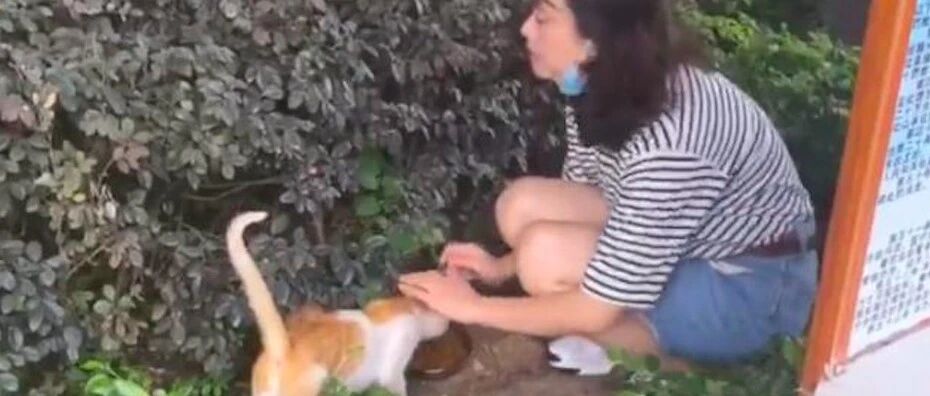 小伙喂养流浪猫，猫咪竟主动给他介绍女友还帮忙搭讪，猫的报恩？