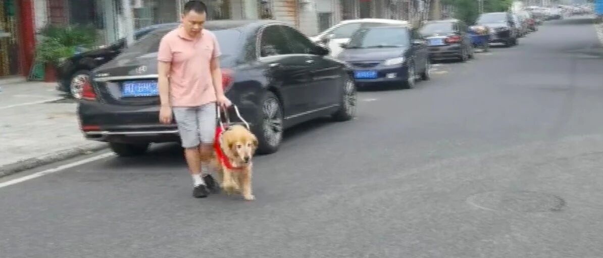 江苏首只导盲犬将退休，盲人不舍还是要送走它：谢谢你做我的眼睛