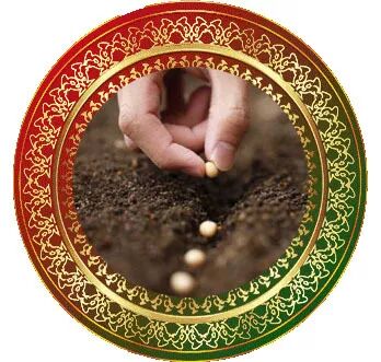 黄财神赐你仅剩的一颗财富种子,错过再无机会,速来领取!