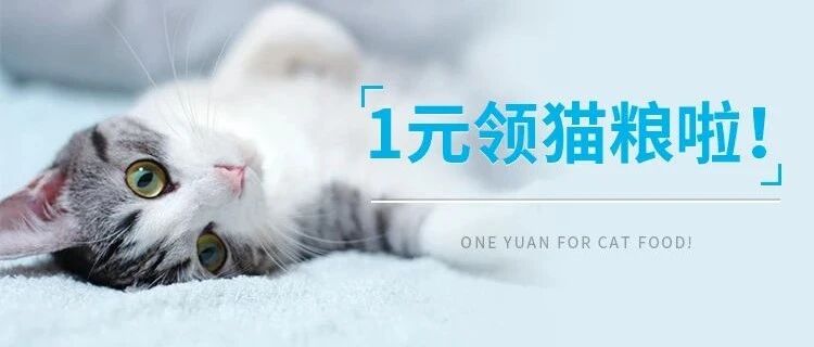 豆柴猫粮1元送 ｜ 给猫换粮，再也不用被主子骂！