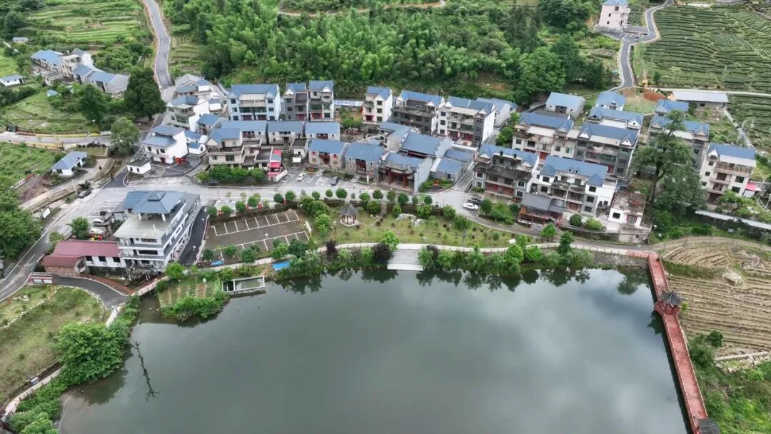 【相约旅发大会 寻迹永新】永新:黄竹岭上"一枝花"-永新县人民政府网