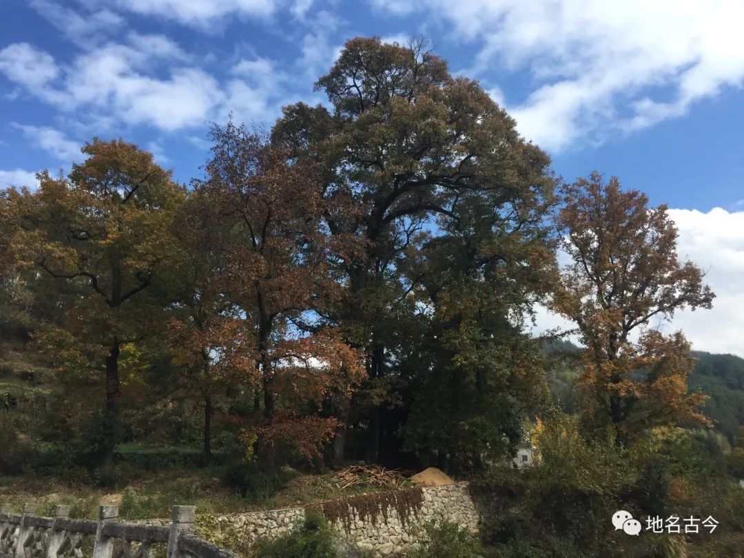 黃晉大別山的羅家大院